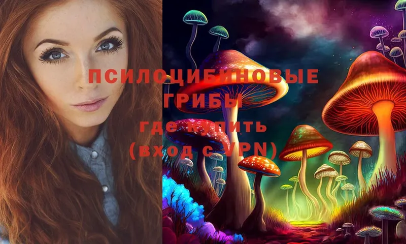 Псилоцибиновые грибы Cubensis  Дагестанские Огни 